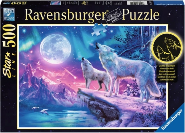 Puzzle Ravensburger lumière polaire 1000 pièces