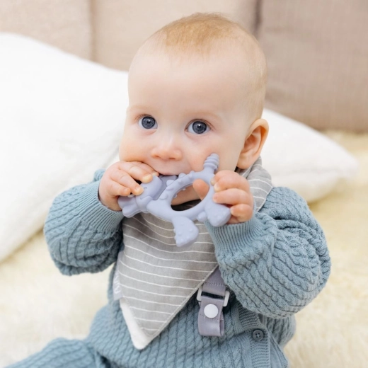 Soutien multisensoriel de la morsure et de la mastication