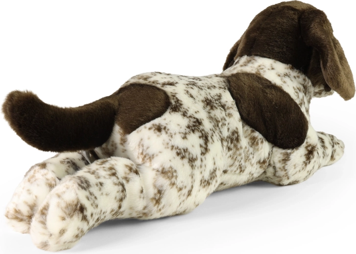 Sûr dès la naissance