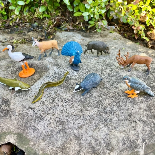 9 animaux européens pour apprendre en jouant