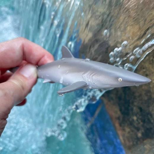 Idéale en voyage et pour jouer au bord de l’eau