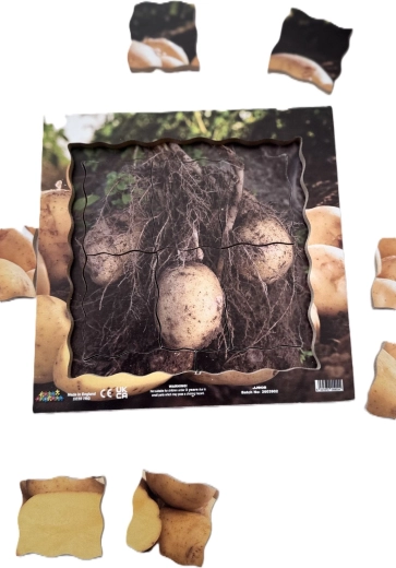 Puzzle en bois dans un cadre
