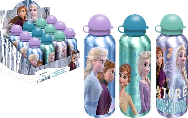 Gourde en aluminium Frozen