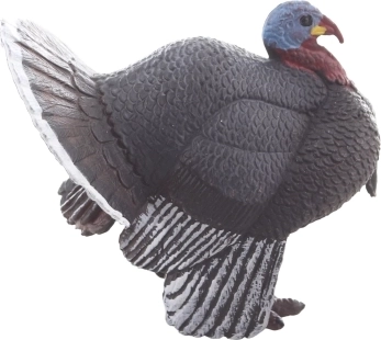 Compacte et résistante