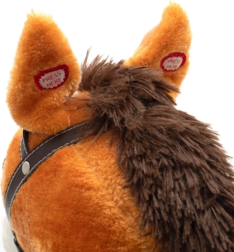 Oreilles interactives avec sons et mélodie