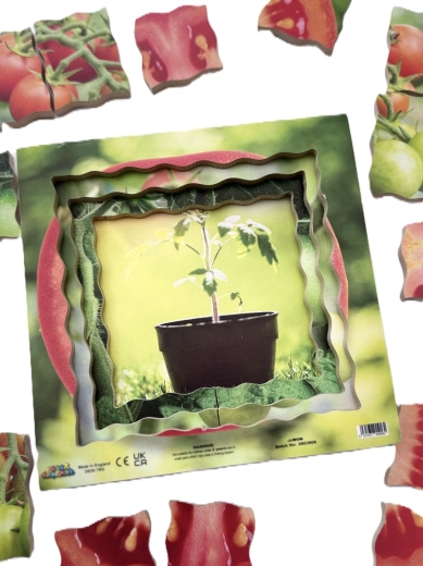 Conception en bois à étages