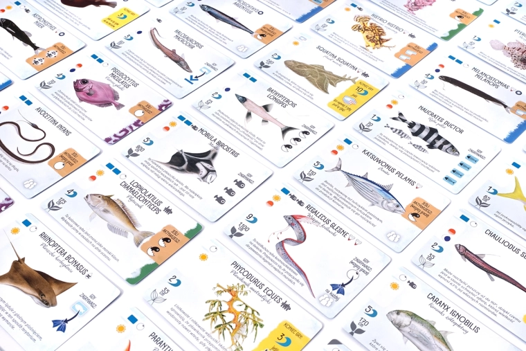 Cartes de créatures marines avec des icônes claires