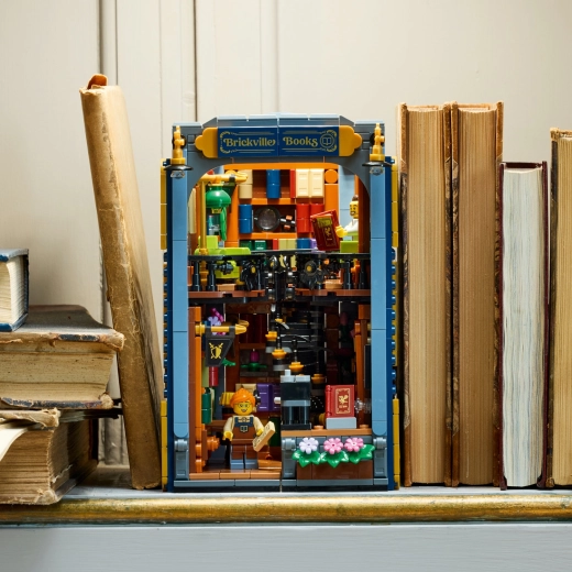 Une décoration magique entre les livres