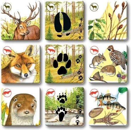 Cartes résistantes pour des parties fréquentes