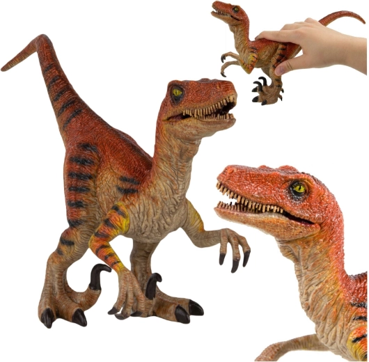 Mâchoire et membres antérieurs articulés