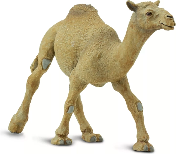 Safari Ltd. figurine de dromadaire - 1 pièce