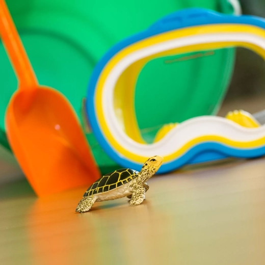 Taille compacte pour le jeu des enfants