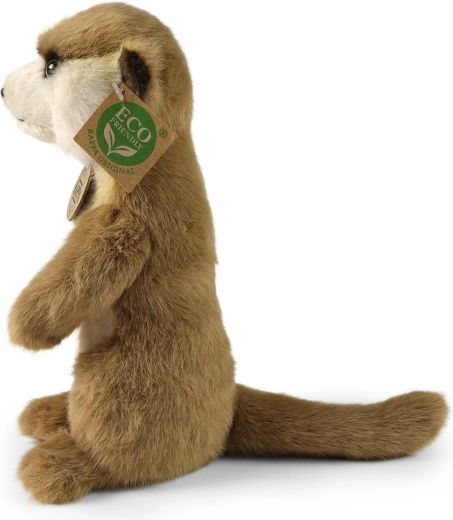 Détails réalistes et posture stable