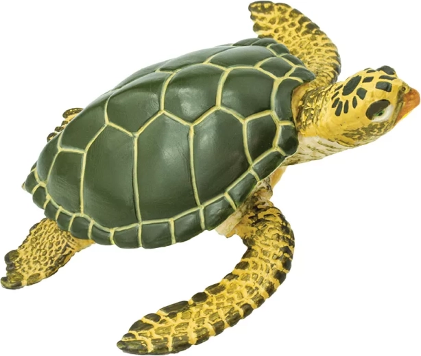 Safari Ltd. tortue caouanne – figurine réaliste - 1 pièce