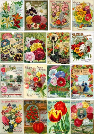Puzzle Enjoy paquets vintage de graines de fleurs 1000 pièces