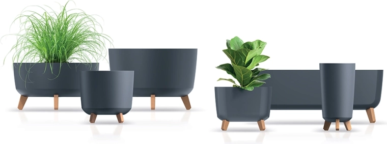 De meilleures conditions pour les racines