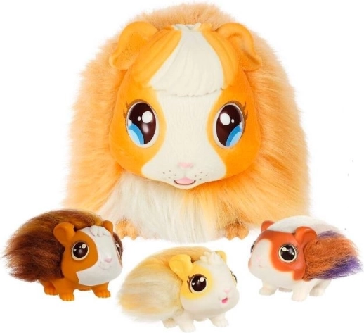 Grande surprise : 3 petits cochons d’Inde