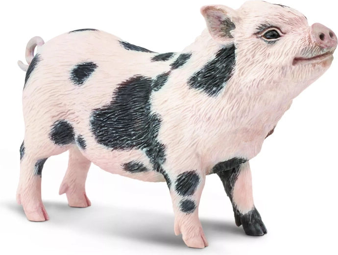 Produit sûr, non toxique et respectueux de l’environnement