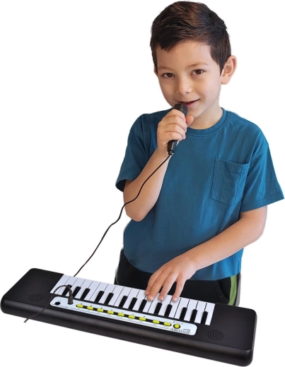 Microphone pour la musique et le chant