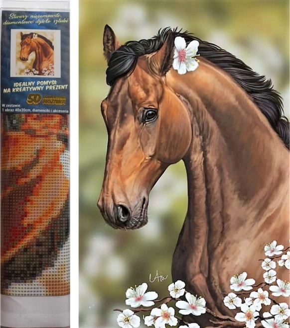 Norimpex peinture au diamant Cheval avec fleurs 30x40 cm