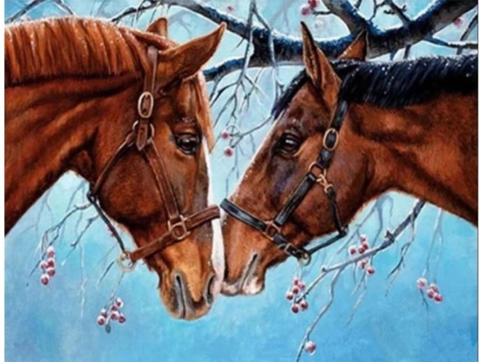 Peinture par numéros sur toile – Deux chevaux 50 × 40 cm