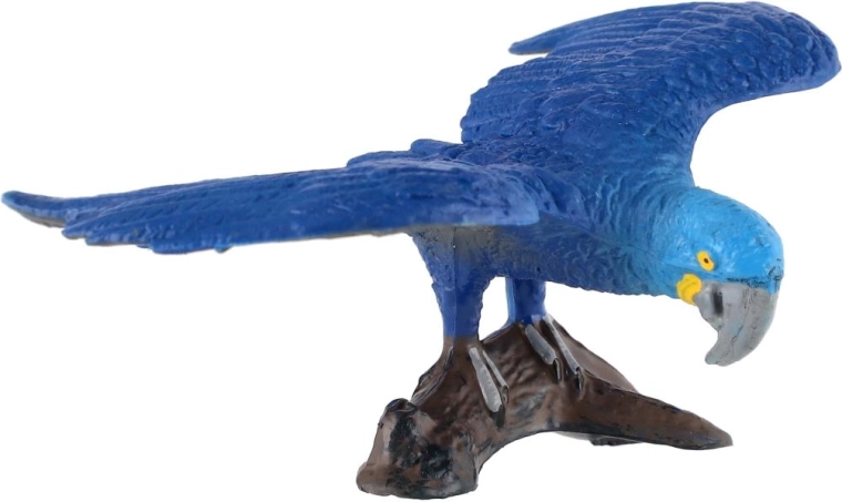 Socle stable pour l’exposition