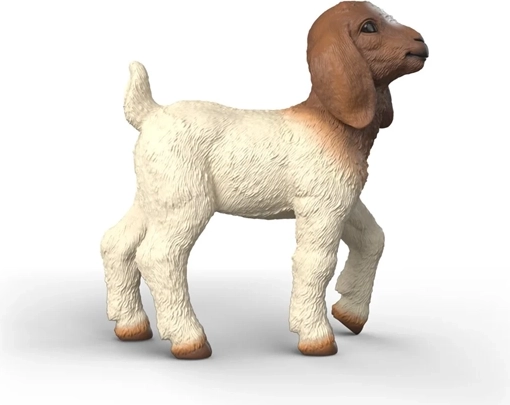 Pelage typique de la chèvre boer