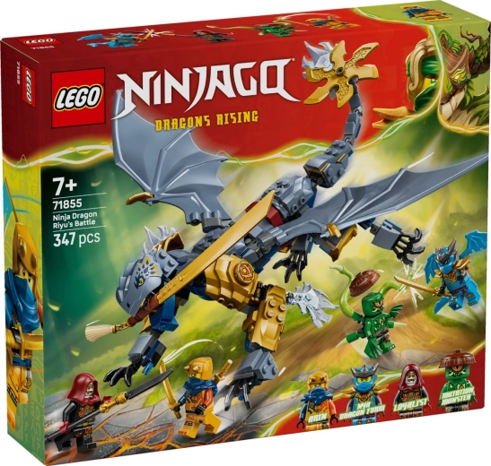 LEGO NINJAGO Le combat du dragon Riyu