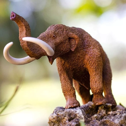 Apprentissage par le jeu pour petits et grands explorateurs