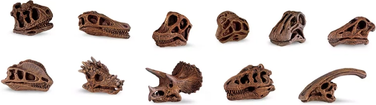 Safari Ltd. crânes de dinosaures – set de mini répliques