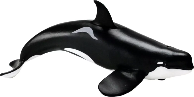 Safari Ltd. figurine d’orque épaulard (type D)
