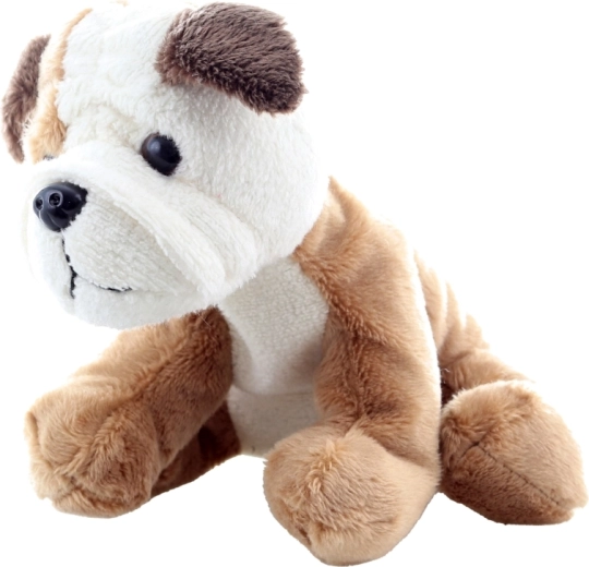 Sûr pour les tout-petits (0+)