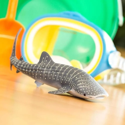 Apprendre en jouant sur les animaux marins