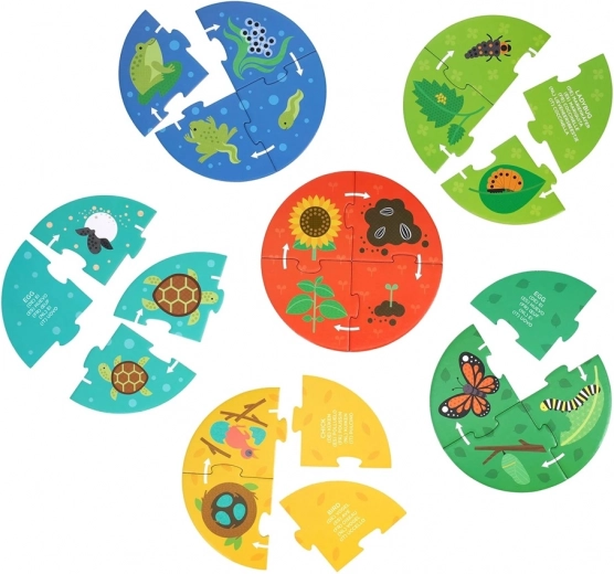 Petit Collage Puzzle Découverte du Cycle de la Vie