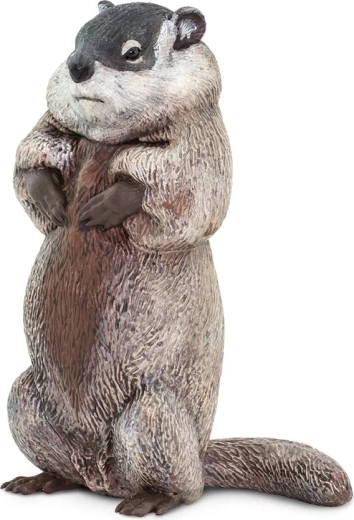 Safari Ltd. figurine de marmotte - 1 pièce