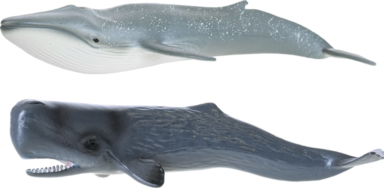 Détails réalistes pour un jeu fidèle