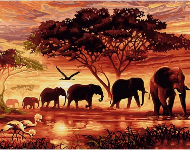 Norimpex peinture par numéros Troupeau d’éléphants au coucher du soleil 40 × 50 cm