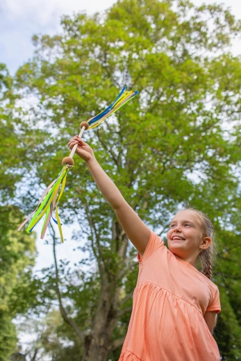 Bâton de twirling