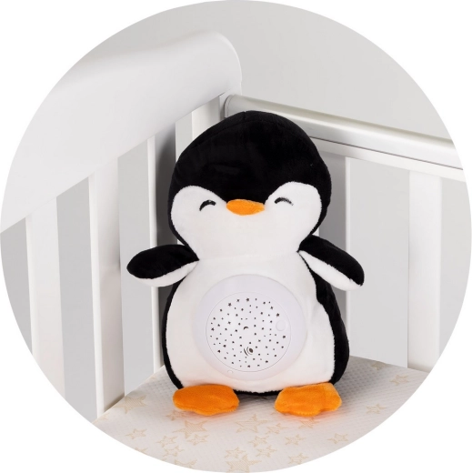 Entretien facile grâce au module amovible