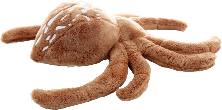 Détails adorables et aspect réaliste