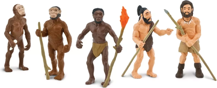 Safari Ltd. évolution de l’homme – set de 5 figurines peintes à la main