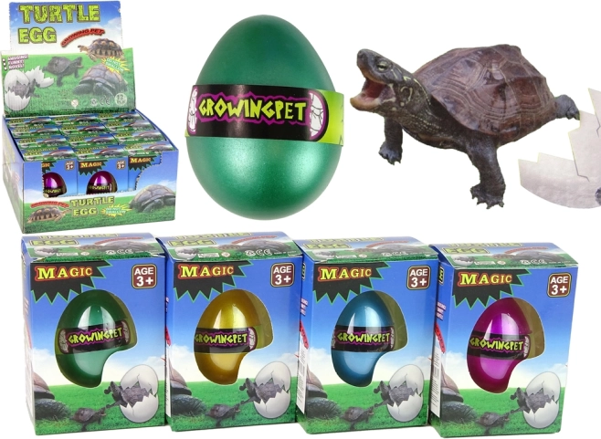 Œuf magique avec tortue qui grandit 6 cm