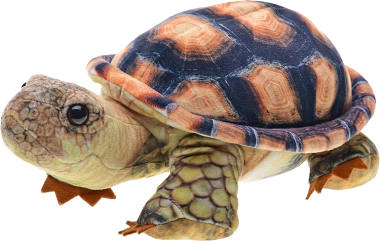 Tortue en peluche 25 cm pour bébés et enfants