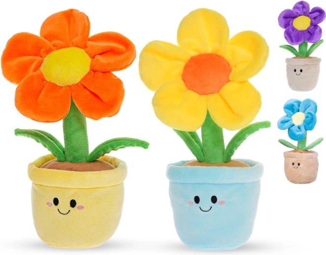 Sûr dès la naissance (0+)