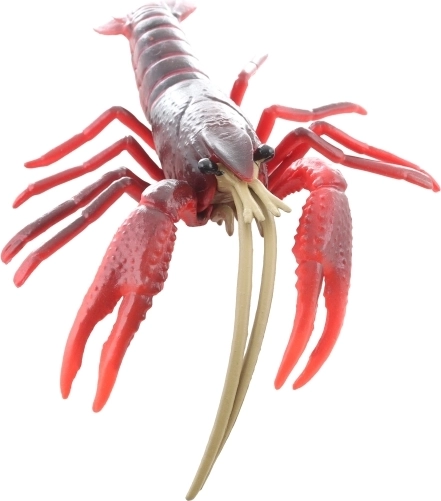 Taille idéale pour la main d’un enfant