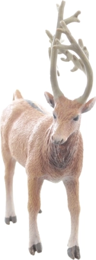 Taille idéale pour les petites mains