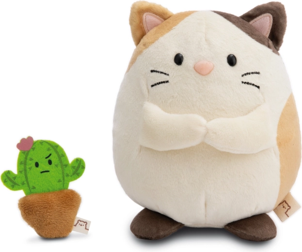 Le cactus Moodi comme adorable compagnon