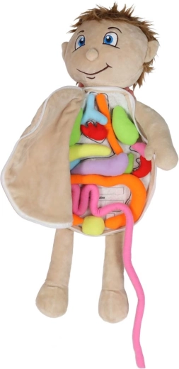 Organes doux amovibles avec scratch