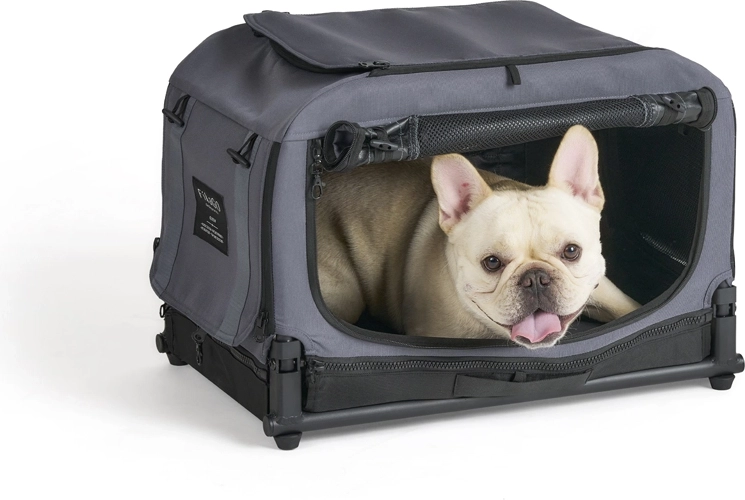 Ventilation, entrée confortable et refuge calme pour le chien