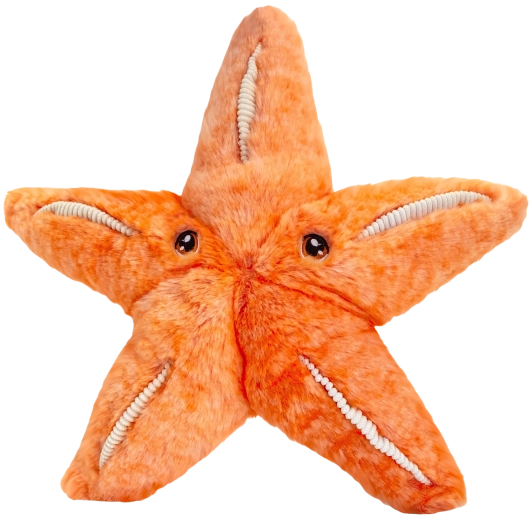 Étoile de mer en peluche Keeleco 25 cm